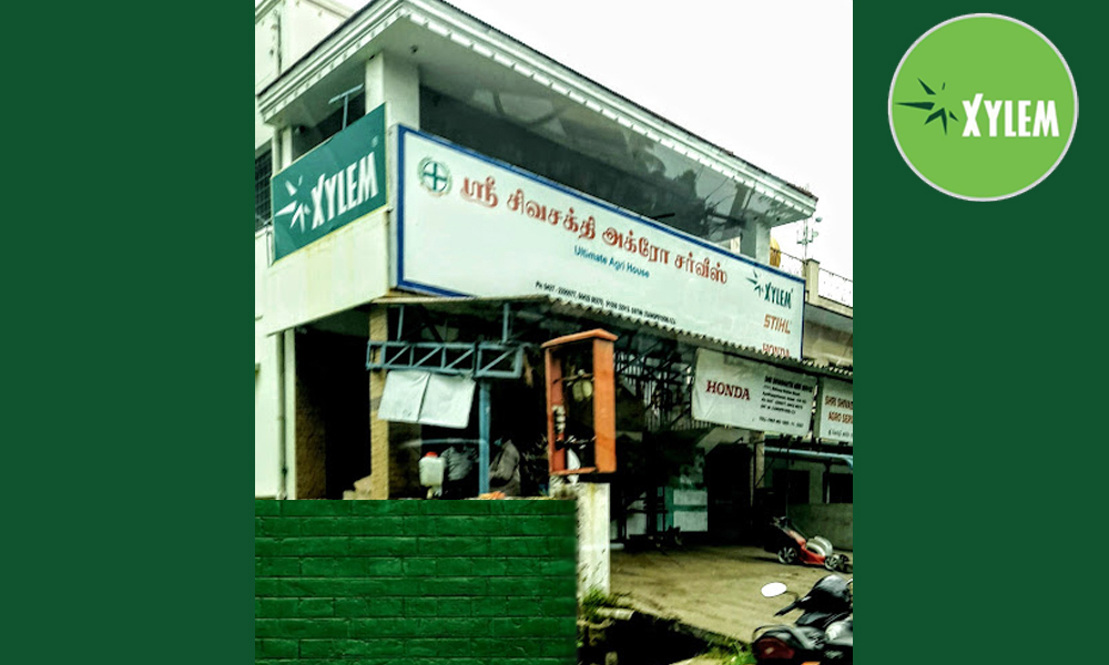 avishaya
